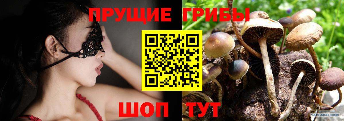 Вольск  Псилоцибиновые грибы ЛСД  Вход с VPN 